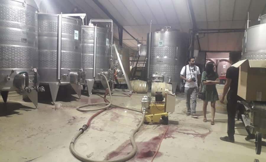 Stellenbosch: Half-Day Wine Tour - Group size, guide energy, and why this tour feels fun