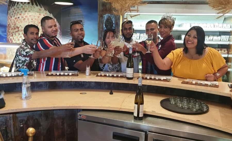 Stellenbosch: Half-Day Wine Tour - Who should book this Stellenbosch half-day tour