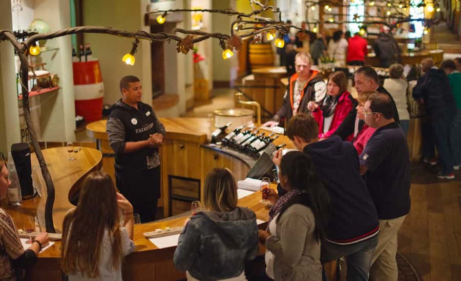 Stellenbosch: Half-Day Wine Tour - Vineyard number one: tasting pods, paired wines, and a cellar look