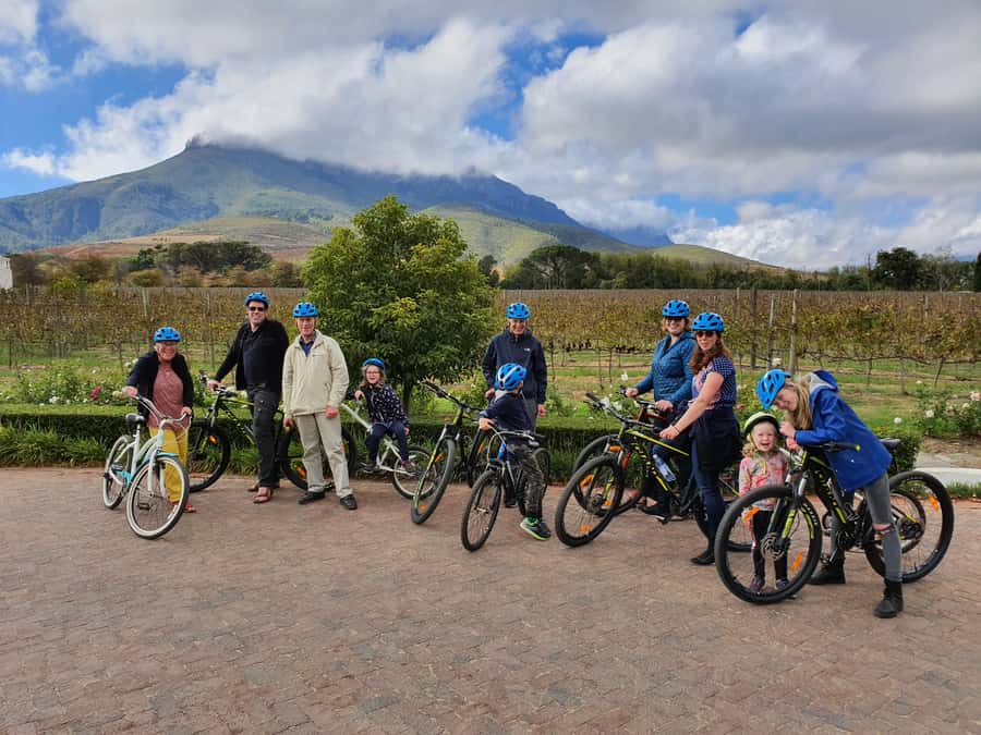 Stellenbosch: Historical Bike Tour & Wine Tasting - Pedaling Through Historic Stellenbosch Town, With Real Explanations