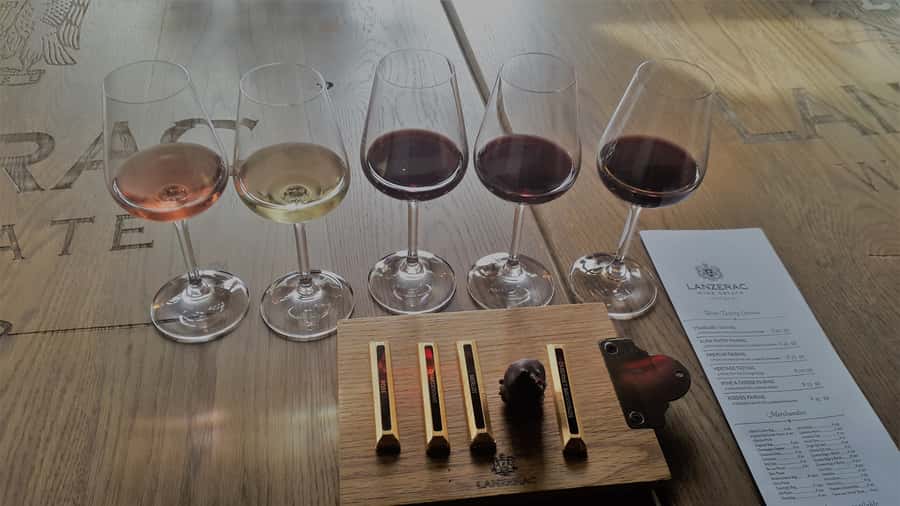 Stellenbosch: Historical Bike Tour & Wine Tasting - Wine Estate Stop One: Tasting Award-Winning Wines With Mountain Views