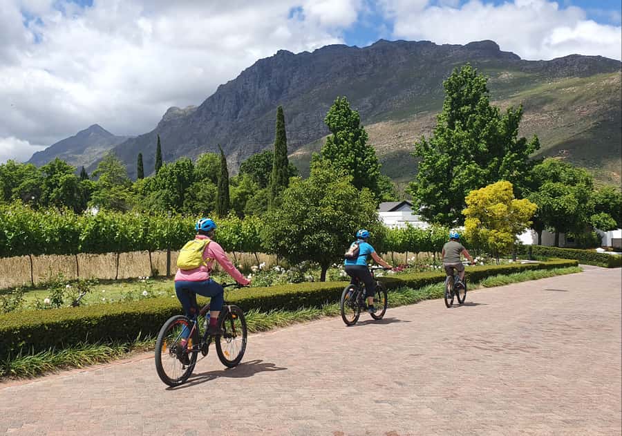 Stellenbosch: Historical Bike Tour & Wine Tasting - Wine Estate Stop Two: Private Cellar Tour and the Wine-and-Chocolate Pairing