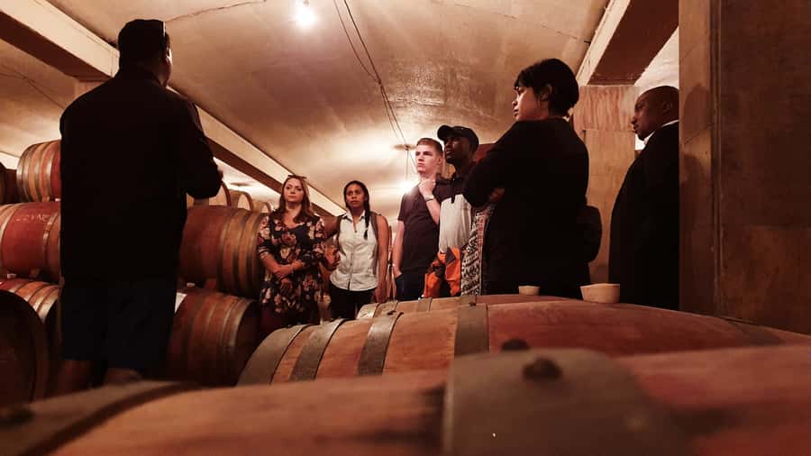 Stellenbosch: Historical Bike Tour & Wine Tasting - Bikes for Hills: Choosing Between a Standard Bike and an E-Bike