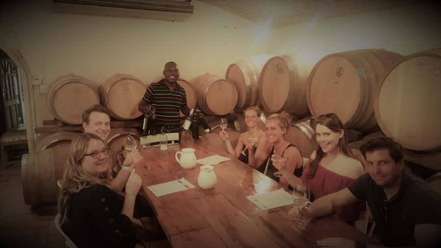 Stellenbosch: Hop-On Hop-Off Northern Route Wine Tour - The Northern Route Stops: What You Can Expect at Each Estate