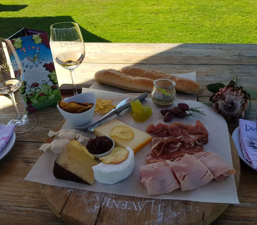 Stellenbosch: Hop-On Hop-Off Northern Route Wine Tour - Picking the Right Start Time (To Reach 6 Estates)