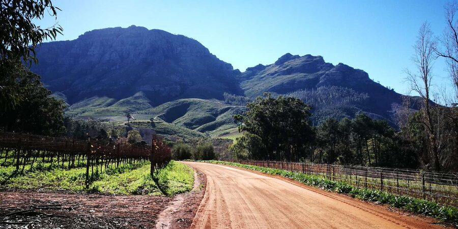 Stellenbosch: Stellenbosch E-Bike & Wine Tour (Shared Tour) - The role of the guide, Prince and Tim set the tone