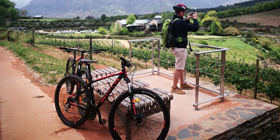 Stellenbosch: Stellenbosch E-Bike & Wine Tour (Shared Tour) - Should you book the Stellenbosch E-Bike & Wine Tour?