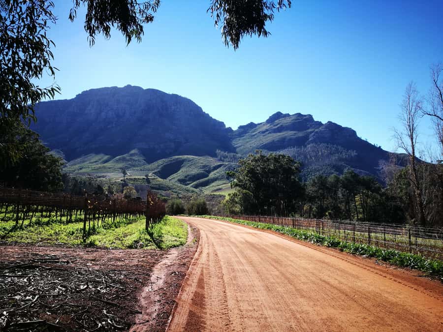 Stellenbosch: Stellenbosch E-Bike & Wine Tour (Shared Tour) - The Banghoek Valley e-bike route, 10 to 12 km of real views