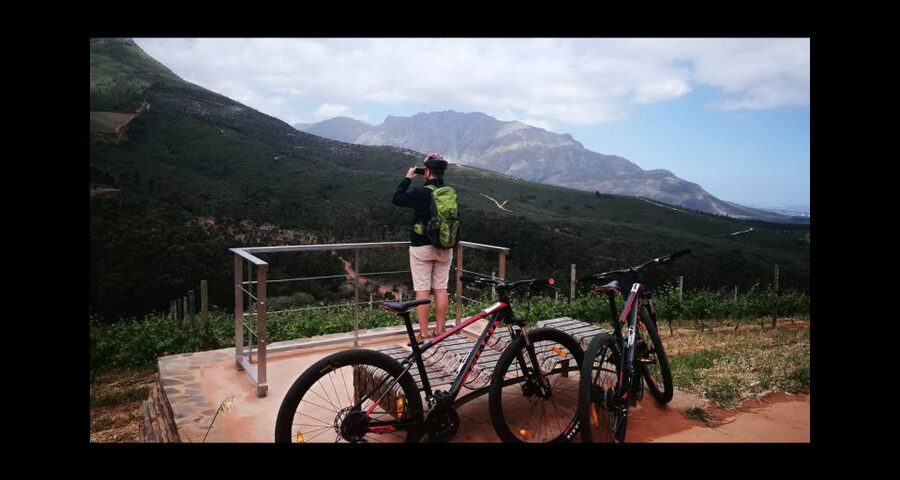 Stellenbosch: Stellenbosch Private E-Bike & Wine Tour - Two winery visits with time for wine, views, and cellar contrast