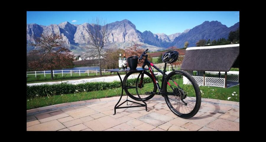 Stellenbosch: Stellenbosch Private E-Bike & Wine Tour - A short vineyard sightseeing stop to keep the day balanced