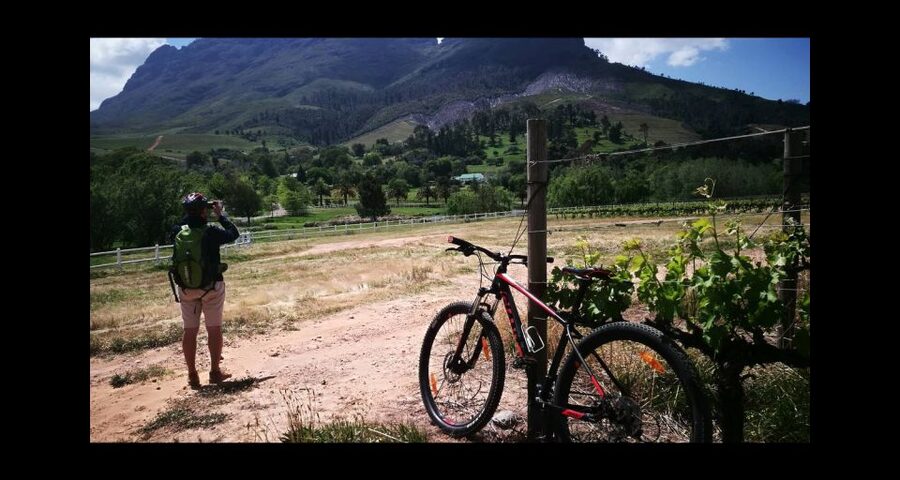 Stellenbosch: Stellenbosch Private E-Bike & Wine Tour - Price and value: what you get for $186 per person