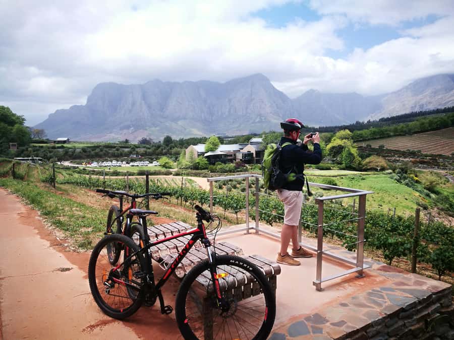 Stellenbosch: Stellenbosch Private E-Bike & Wine Tour - Who should book, and who should skip