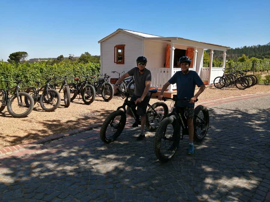Stellenbosch: Wine Farm E-Bike Guided Tour - Key highlights to know before you ride