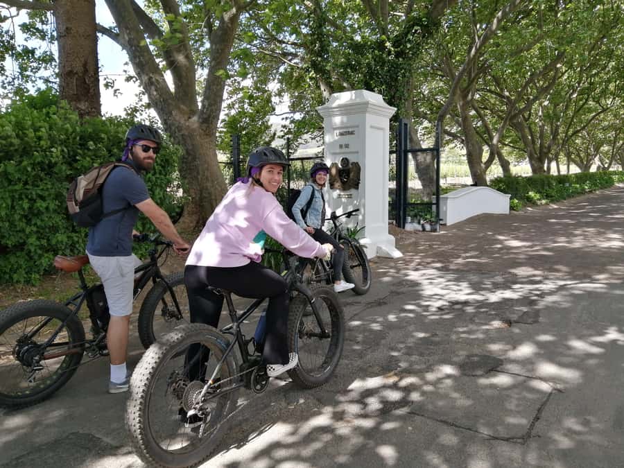 Stellenbosch: Wine Farm E-Bike Guided Tour - The Ride Out Into the Jonkershoek Valley