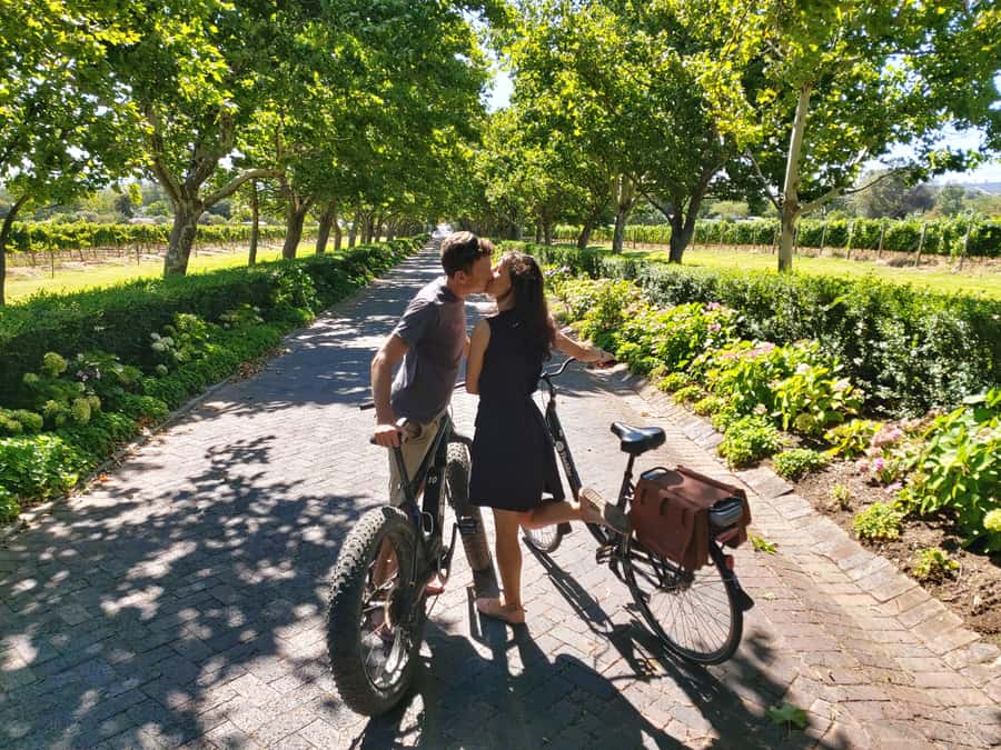 Stellenbosch: Wine Farm E-Bike Guided Tour - The E-bike Factor: Why This Ride Feels Effortless