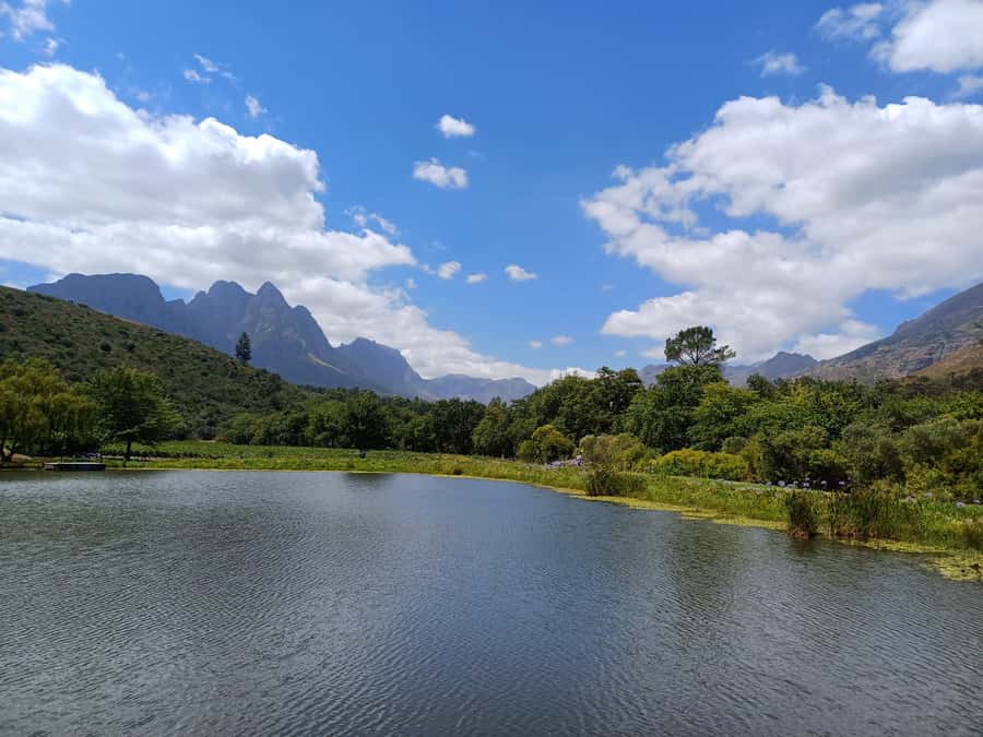 Stellenbosch wine tour, all inclusive of lunch and tastings. - The day plan in plain terms: 4 wineries plus a lunch reset