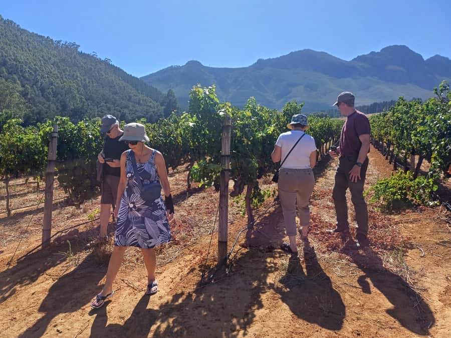 Stellenbosch wine tour, all inclusive of lunch and tastings. - Lunch that does not feel like an afterthought