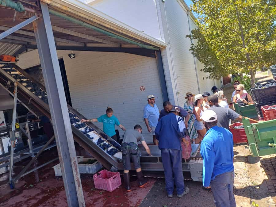 Stellenbosch wine tour, all inclusive of lunch and tastings. - The guides: where this tour becomes more than a checklist
