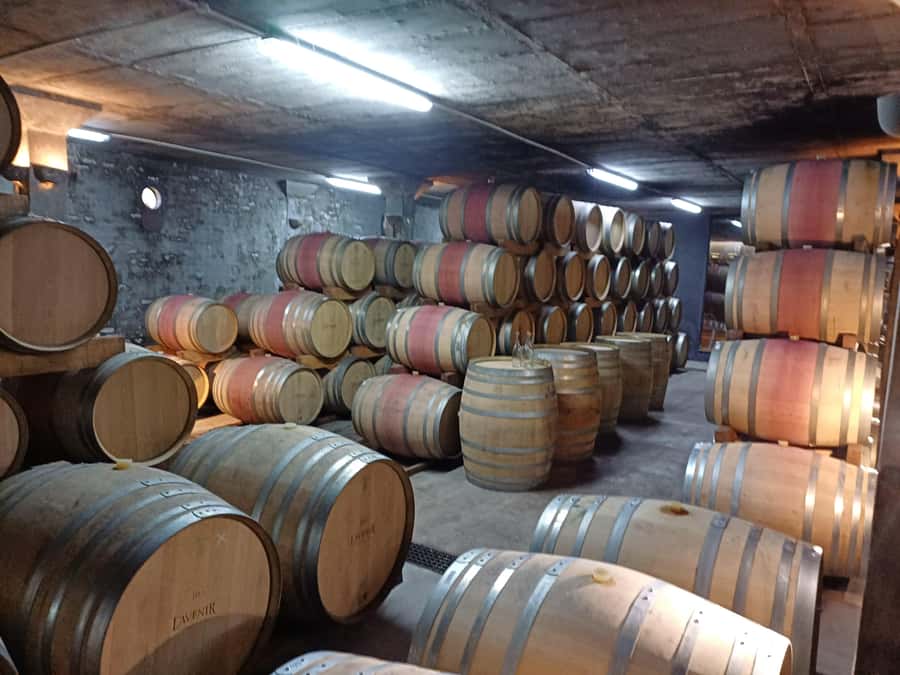 Stellenbosch wine tour, all inclusive of lunch and tastings. - Pace, photos, and the reality of tastings at four wineries