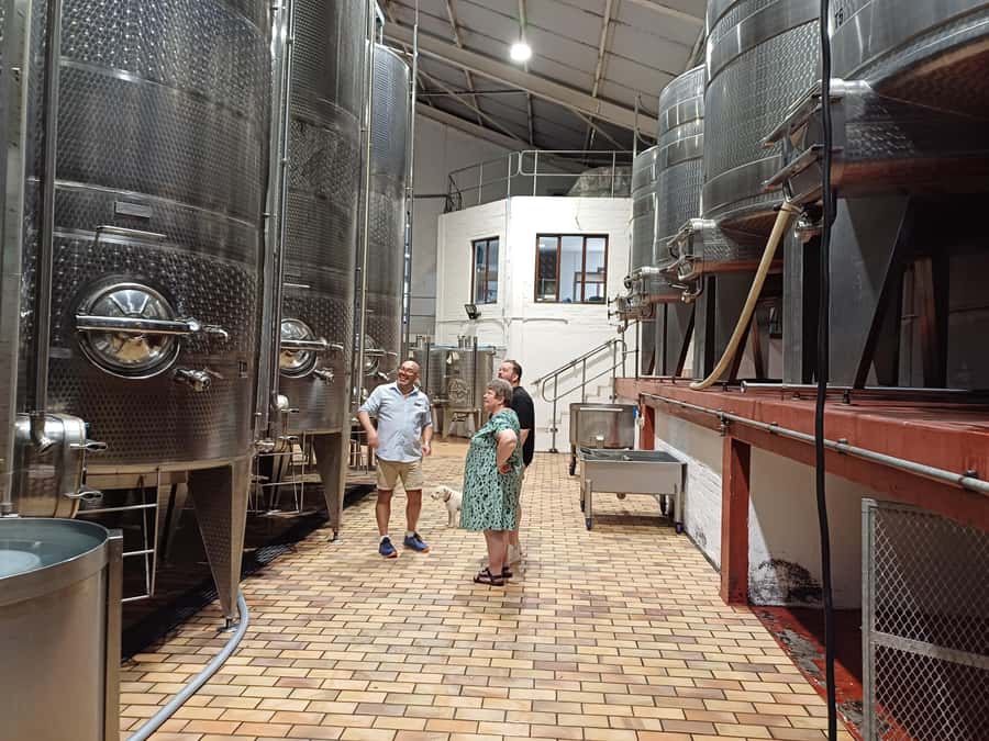 Stellenbosch wine tour, all inclusive of lunch and tastings. - Who this tour suits best