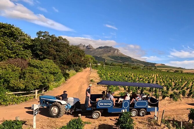Stellenbosch Wine Tractor hop-on-hop off wine tasting tour - Key Points You’ll Care About