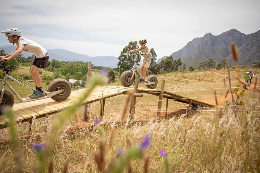 Stellenbosch Winelands downhill gravity Scooter - Key points to know before you go