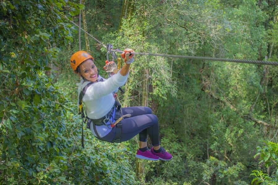 Storms River: Tsitsikamma National Park Zipline Canopy Tour - Storms River Zipline Check-In: Getting to Tsitsikamma in 150 Minutes