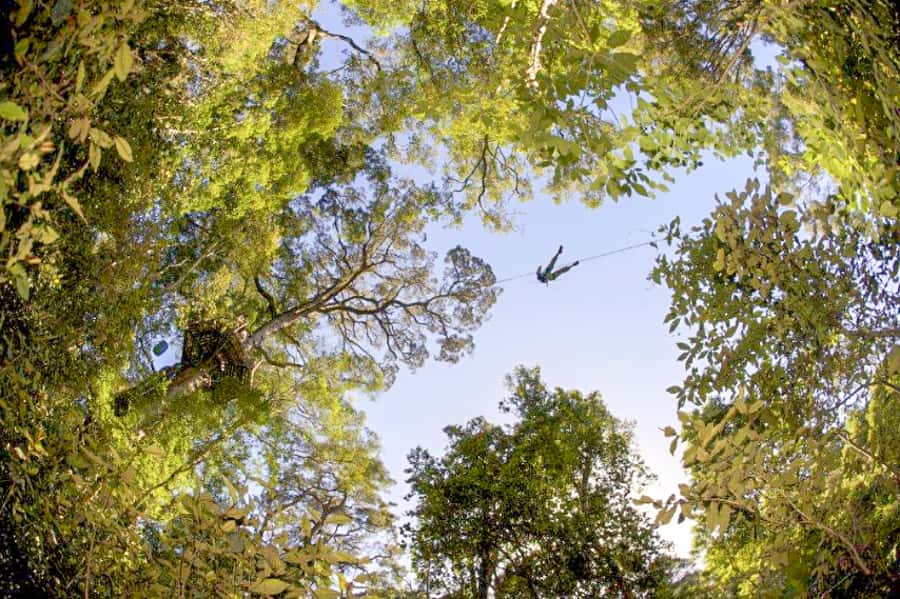 Storms River: Tsitsikamma National Park Zipline Canopy Tour - Guides Who Keep You Relaxed: Humor, Attentiveness, and First-Timer Support