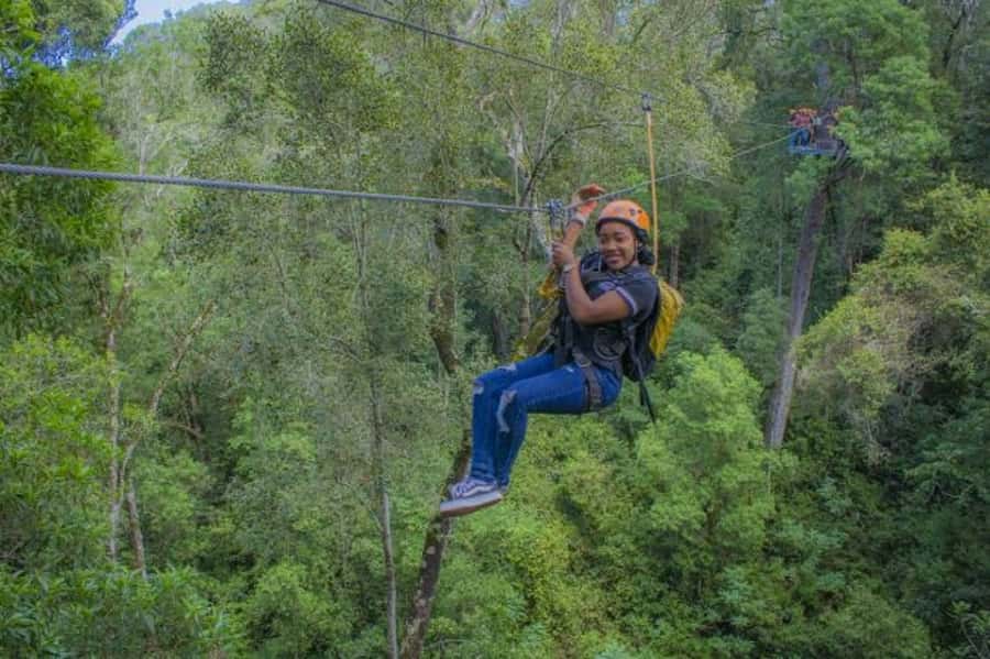 Storms River: Tsitsikamma National Park Zipline Canopy Tour - After the Last Line: The 600-Meter Hike Plan