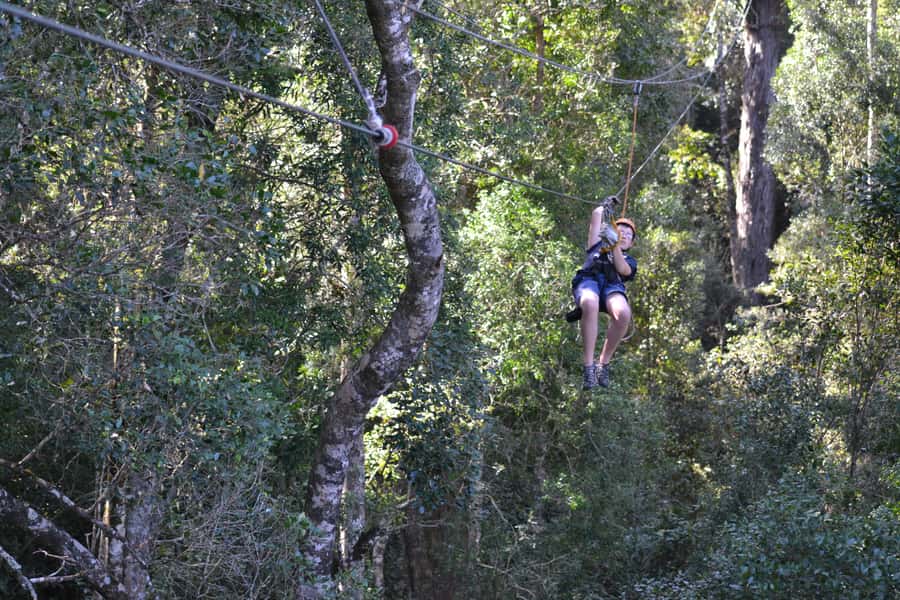 Storms River: Tsitsikamma National Park Zipline Canopy Tour - Who Should Book This Zipline Canopy Tour (and Who Should Skip It)