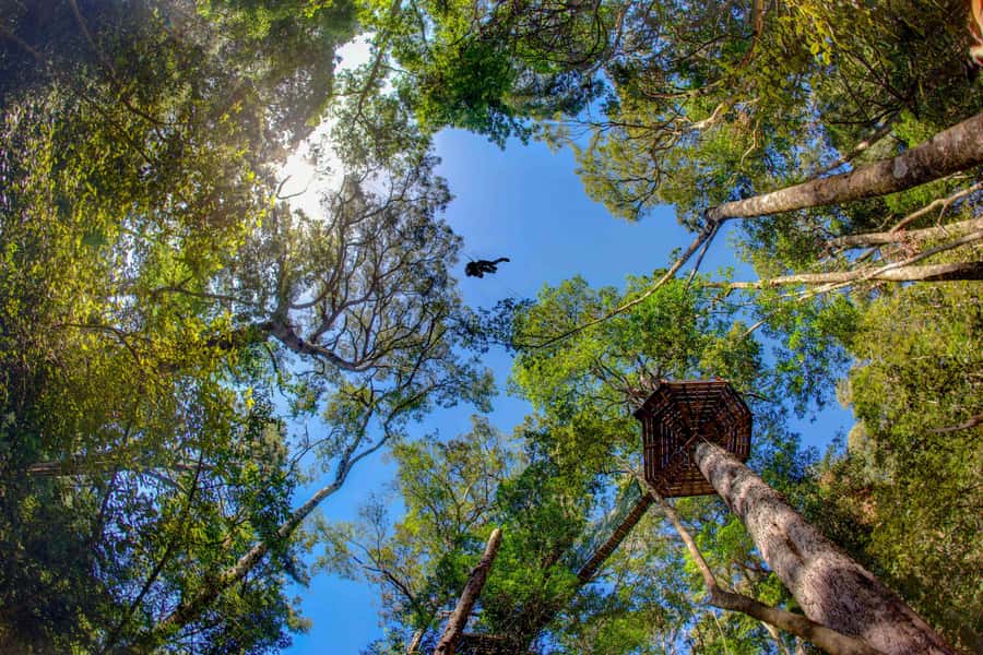 Storms River: Tsitsikamma National Park Zipline Canopy Tour - Safety That Feels Tight: Harnesses, Briefing, and a Calm Team