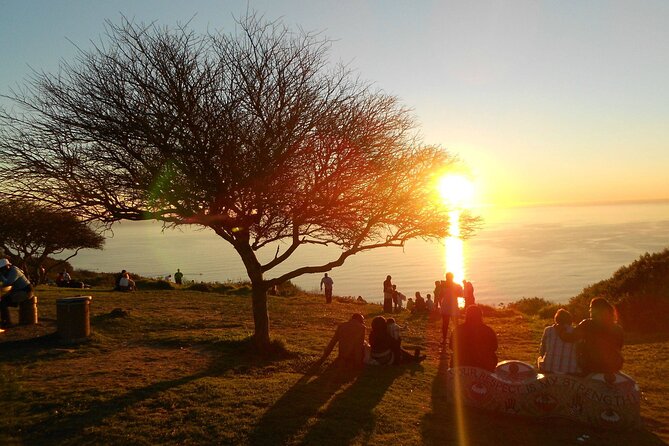 Summer Sunset Bus Tour in Cape Town - Key Points You’ll Care About