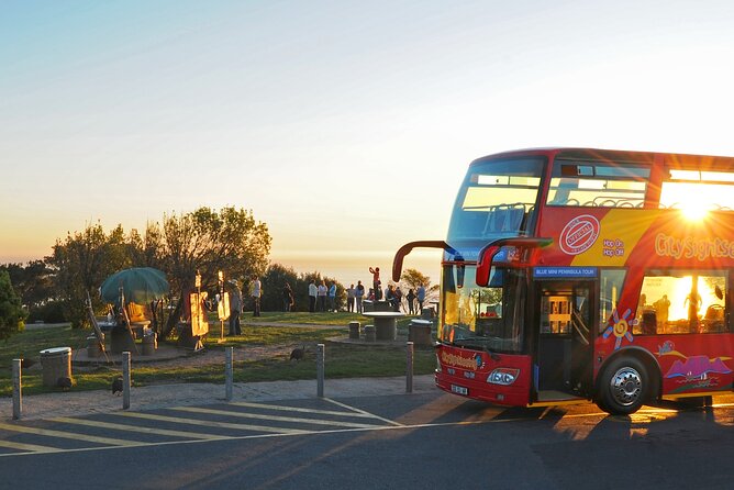 Summer Sunset Bus Tour in Cape Town - A 4:45 pm Sunset Bus Route That Saves You From Decision Fatigue