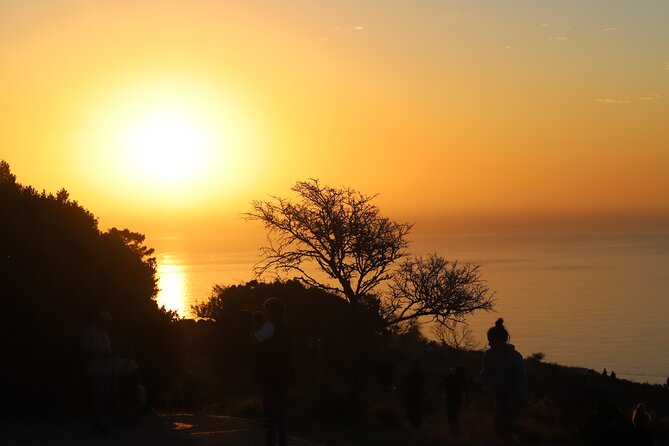 Summer Sunset Bus Tour in Cape Town - Signal Hill Stop: Picnic, Drinks, and Watching the Sun Set Over the Atlantic