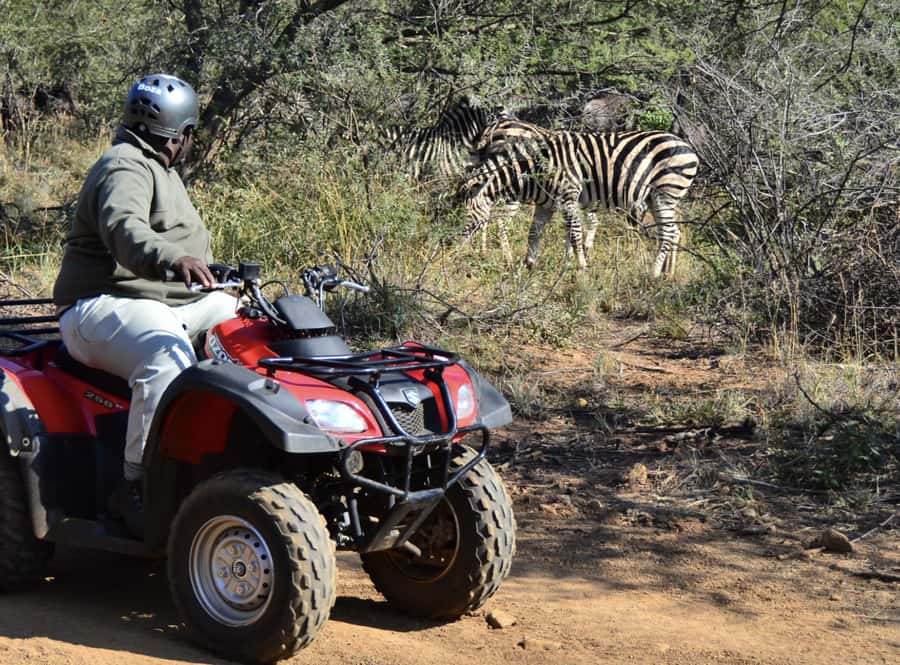 Sun City: Letsatsing Game Park Nature Trail Quad Bike Tour - Getting from Sun City Welcome Centre to Letsatsing Game Reserve