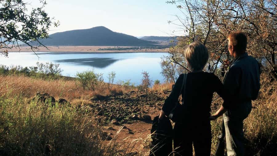 Sun City: Pilanesberg National Park Bush Walk - Key highlights that matter on this bush walk