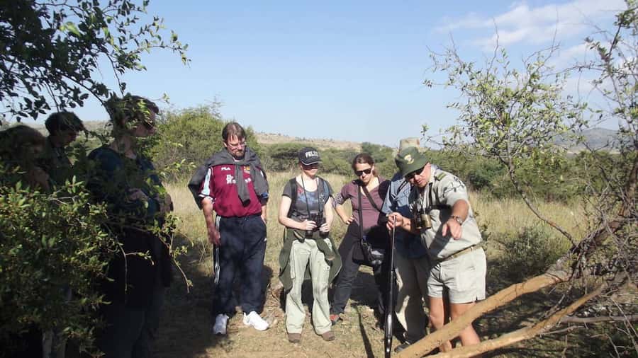 Sun City: Pilanesberg National Park Bush Walk - The guide experience: what you get beyond spotting