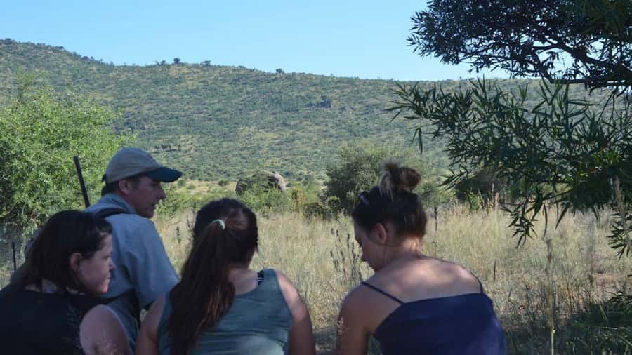 Sun City: Pilanesberg National Park Bush Walk - Plants and wildlife: why the flora focus is more than a bonus