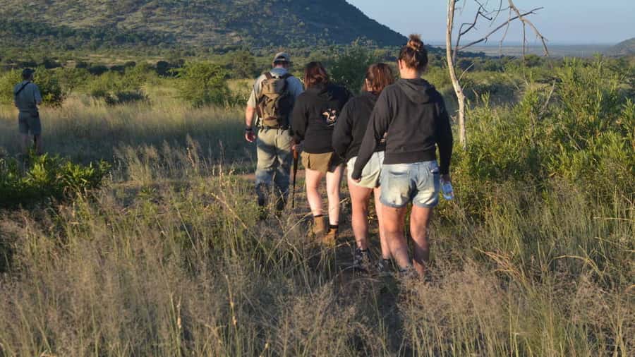 Sun City: Pilanesberg National Park Bush Walk - Your 4-hour bush walk, step by step, on the ground