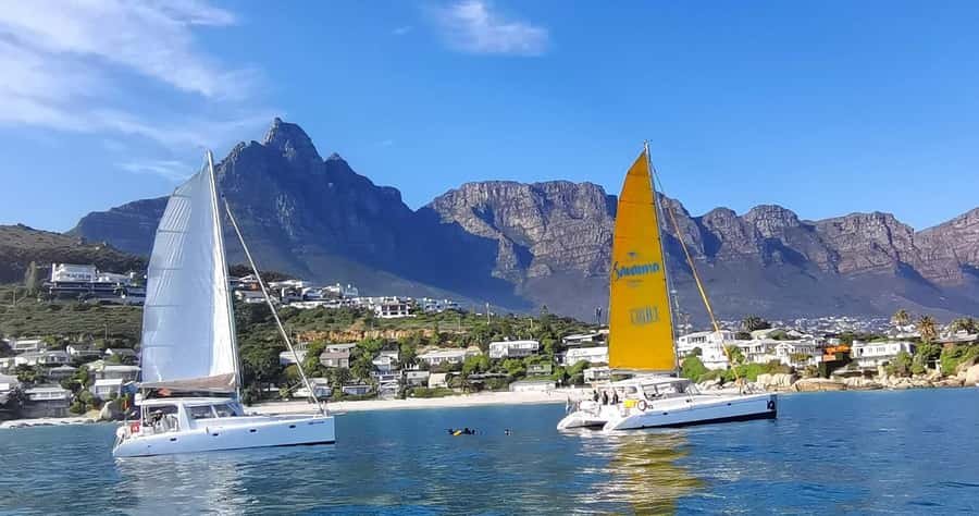 Sunset Cruise with Cape Town Cruises - Cape Town Sunset Cruise Key Highlights You’ll Care About