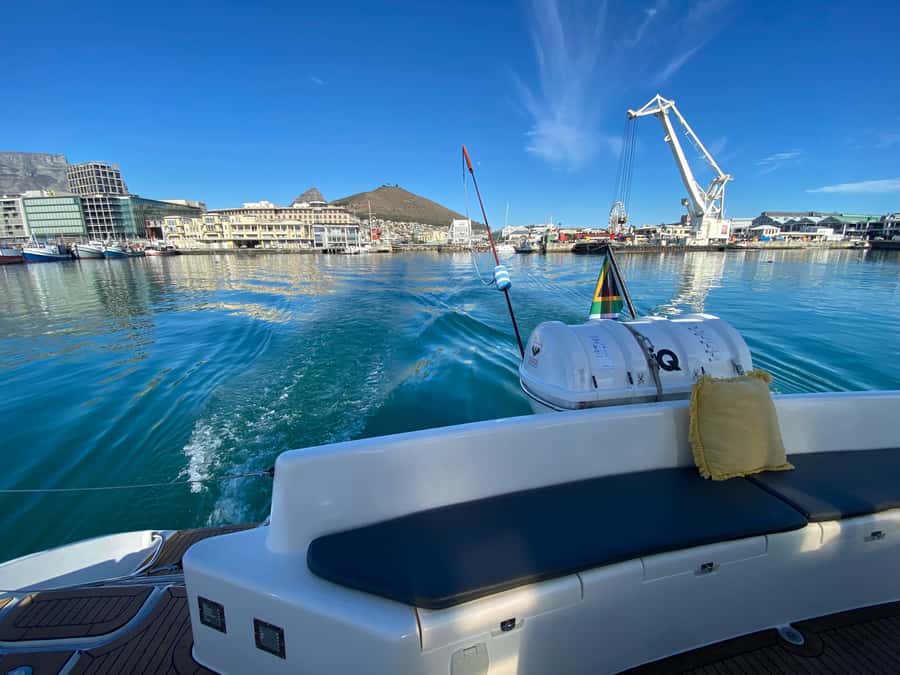 Sunset Cruise with Cape Town Cruises - A Realistic Guide to Marine Life Spotting