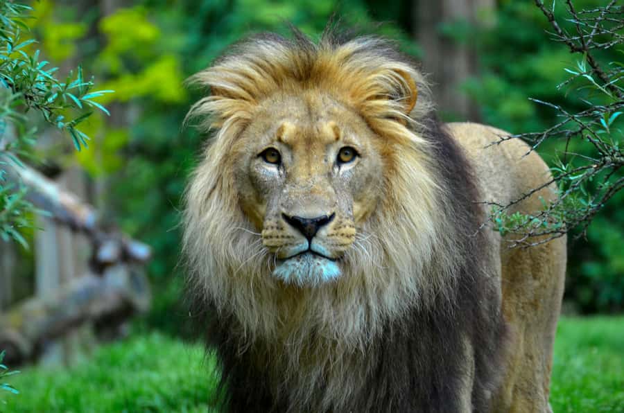 sunset safari big 5 Game reserve Group Tour - Key points to know before you go