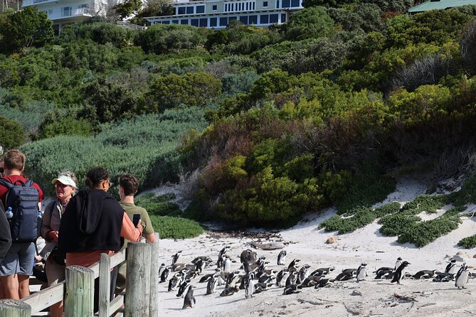 Supersaver: Cape of Good Hope and Cape Point Day Tour from Cape Town - Muizenberg Boyes Drive: Shark Spotter Views, Surf, and Whale Season Timing