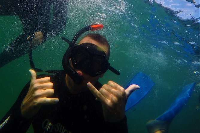 Swim with Seals - Photo Moments and the Little Extras That Matter