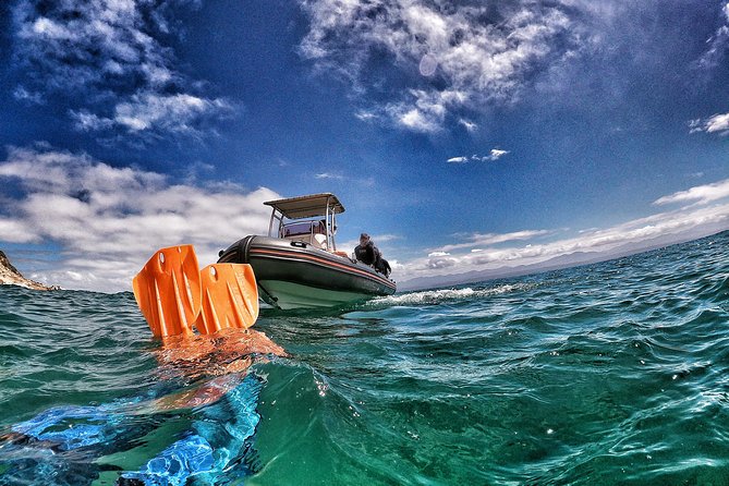 Swim with Seals - Snorkeling With Seals: How It Works and What Makes It Beginner-Friendly
