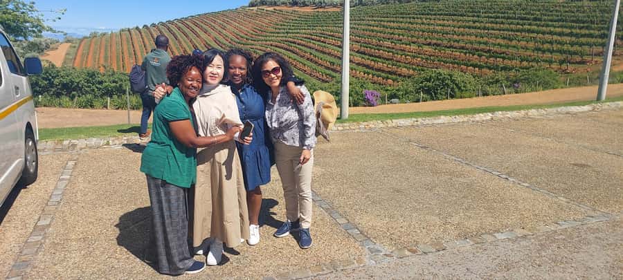 Table Mountain and Stellenbosch Wine tasting tour - Stellenbosch wine tasting at Tokara Estate
