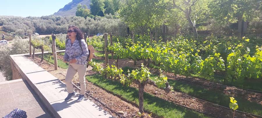 Table Mountain and Stellenbosch Wine tasting tour - Who this tour suits best (and who should think twice)