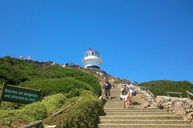 Table Mountain Boulder's Beach and Cape Point - Bo-Kaap: Colorful Streets, Mosques, and Cape Malay Food