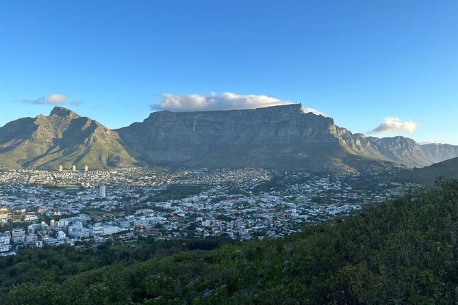 Table Mountain Boulder's Beach and Cape Point - Chapmans Peak Drive Viewpoints: Scenic Road Time, Included