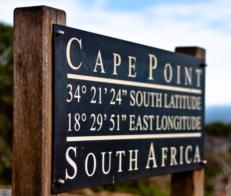 Table Mountain, Boulder's Penguins & Cape Point Private Tour - Boulders Beach: penguins that feel close enough to be your problem